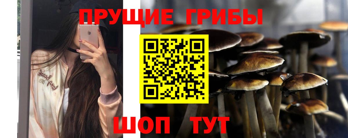 Малгобек  Галлюциногенные грибы MAGIC MUSHROOMS  Вход с VPN  Псилоцибиновые грибы Psilocybe 