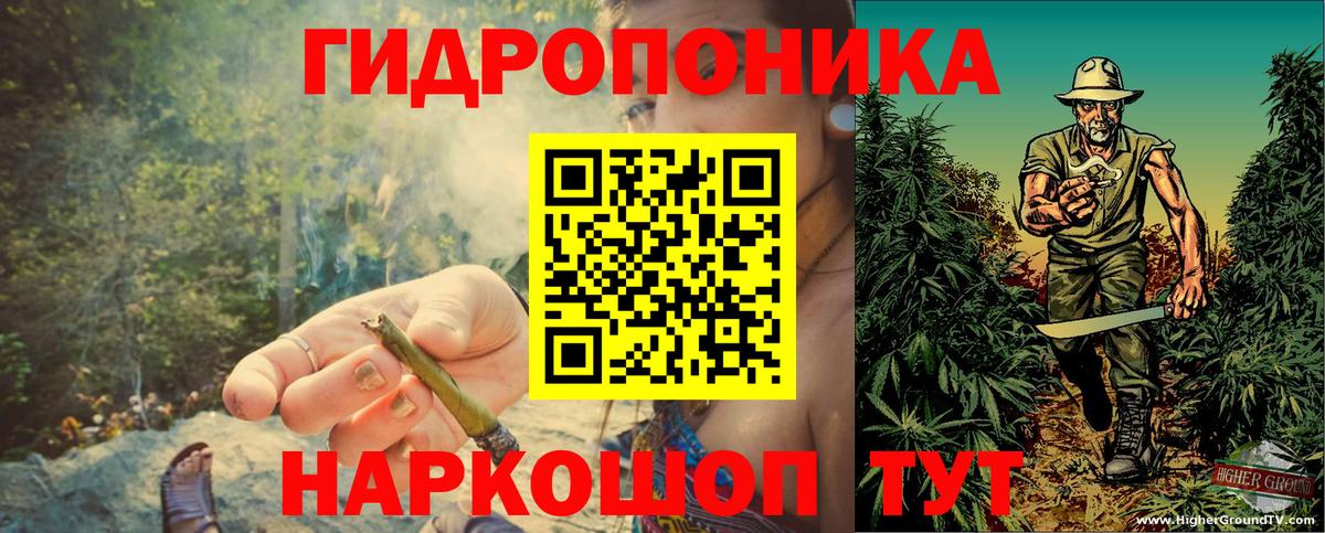 Бошки Шишки MAZAR  Вход с VPN  Конопля AK-47  Малгобек  Канабис THC 21% 